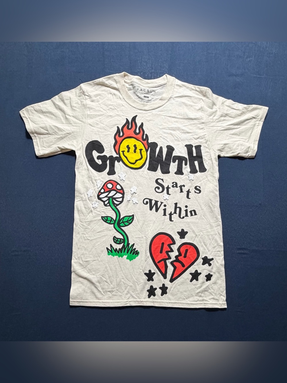 PacSun 100% Cotton Size S NWOT Growth Starts Within Graphic T-Shirt